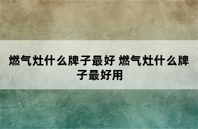 燃气灶什么牌子最好 燃气灶什么牌子最好用